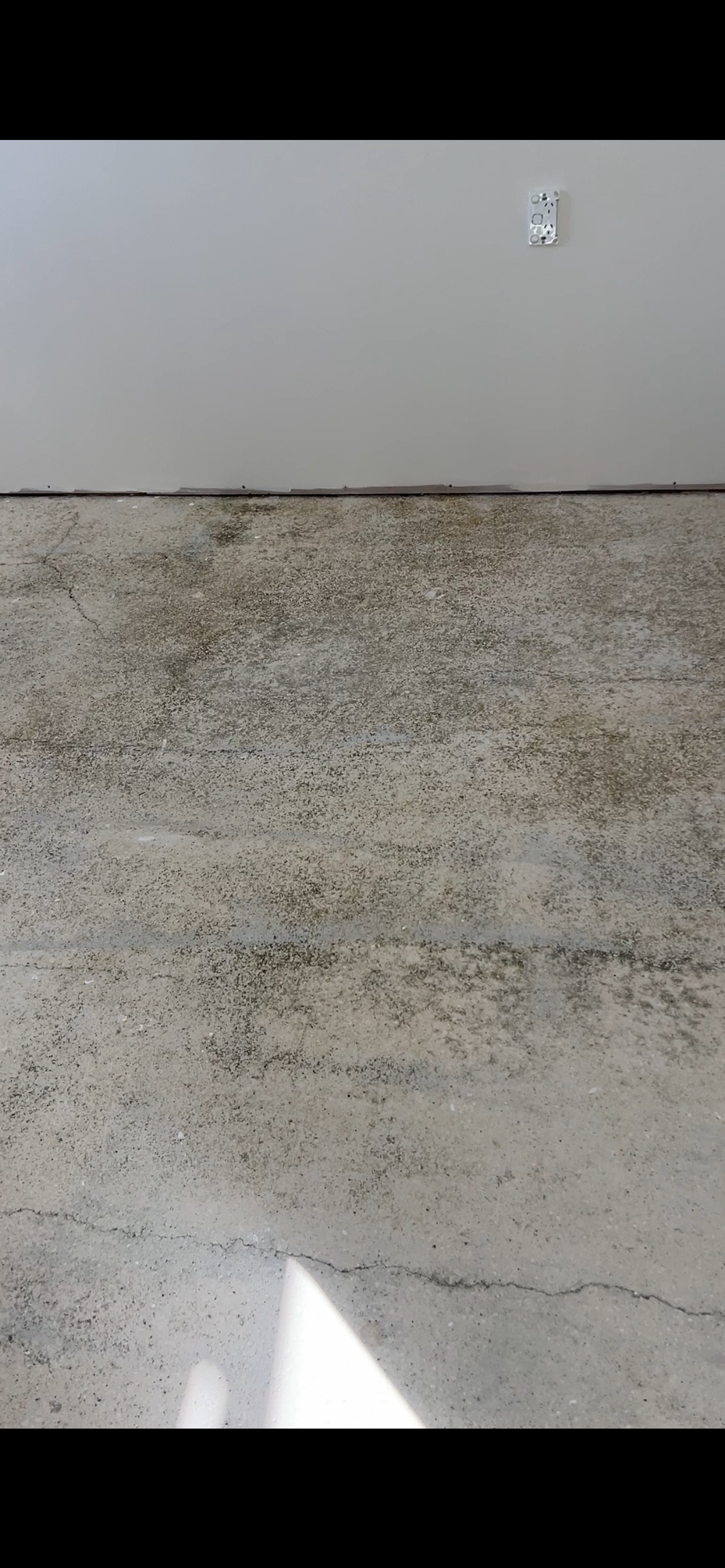 Floor preparation grinding and glue removal NZ
