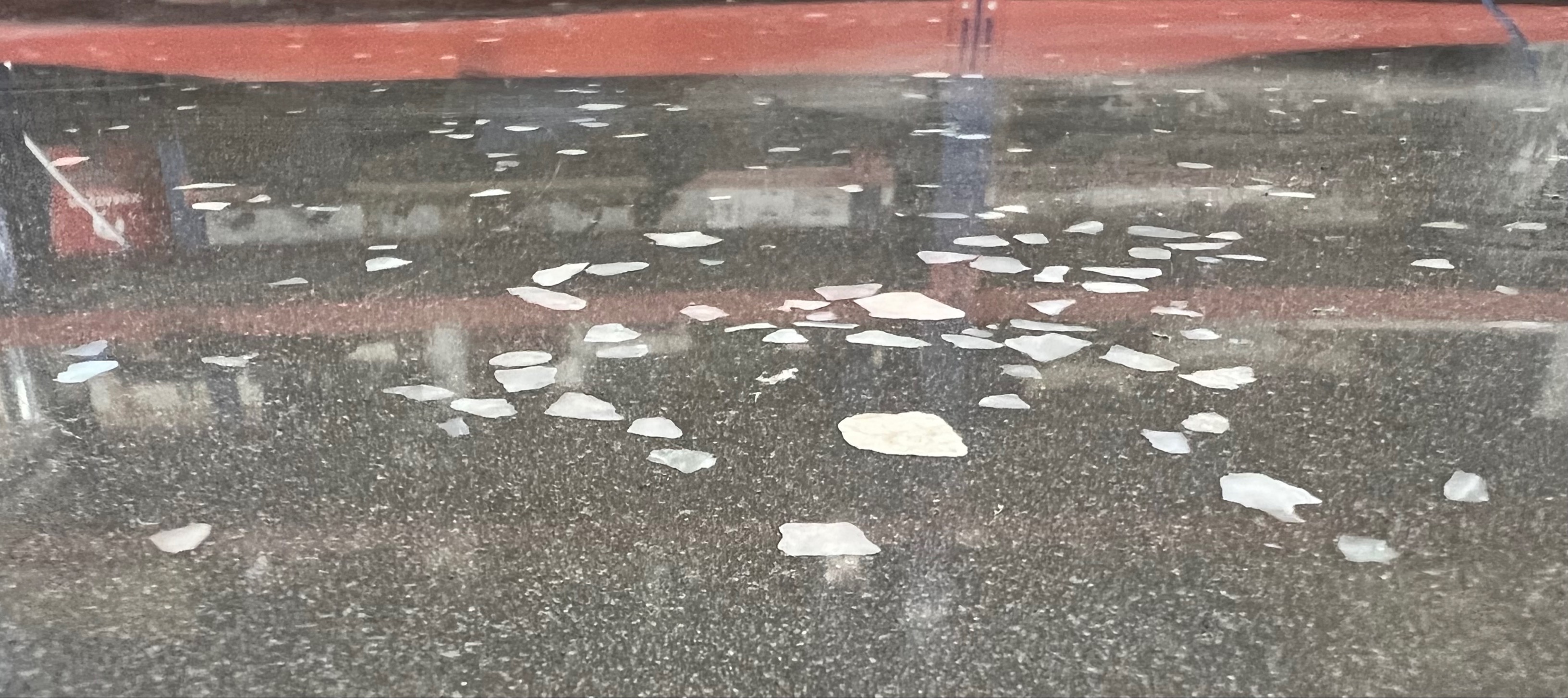 Polished concrete garage floor high gloss finish in New Zealand